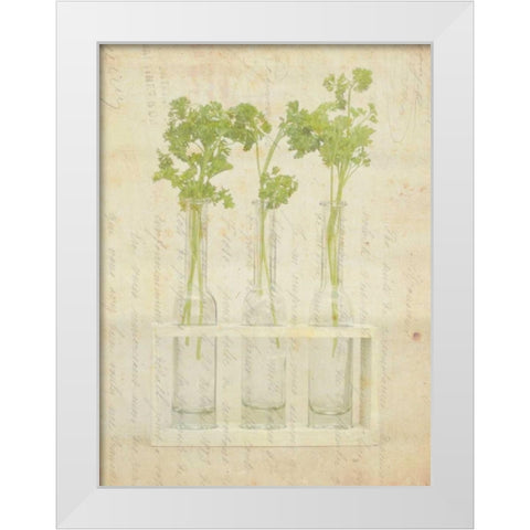 Herb Still Life I White Modern Wood Framed Art Print by Orlov, Irena