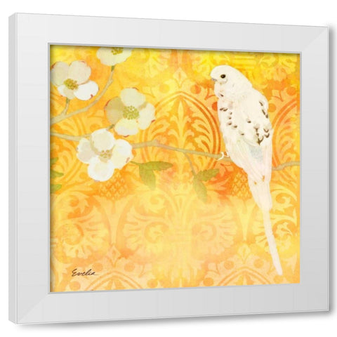 Budgie and Cartouche I White Modern Wood Framed Art Print by Evelia Designs