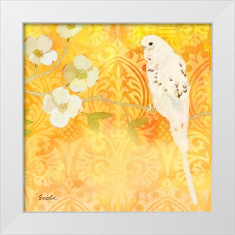 Budgie and Cartouche I White Modern Wood Framed Art Print by Evelia Designs