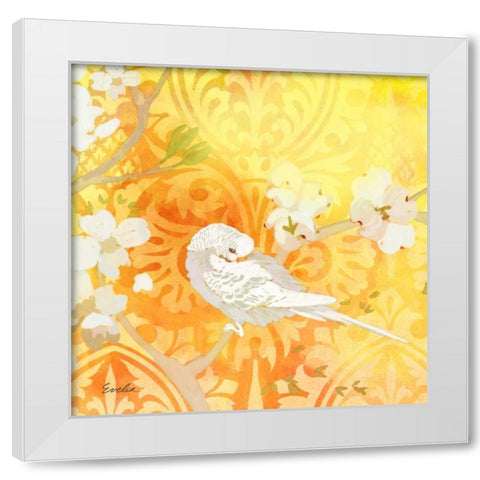 Budgie and Cartouche II White Modern Wood Framed Art Print by Evelia Designs