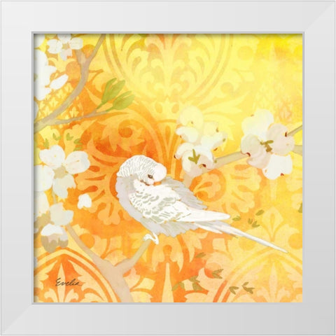 Budgie and Cartouche II White Modern Wood Framed Art Print by Evelia Designs