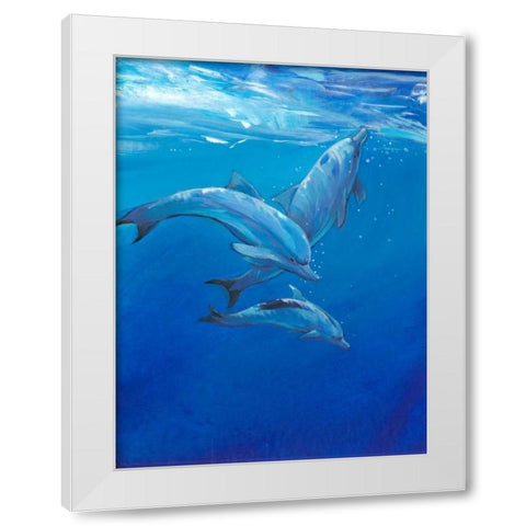 Under Sea Dolphins White Modern Wood Framed Art Print by OToole, Tim