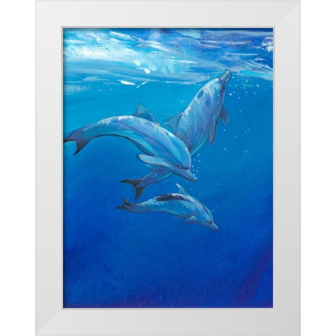 Under Sea Dolphins White Modern Wood Framed Art Print by OToole, Tim