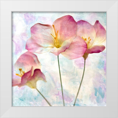 Pink Hyacinth IV White Modern Wood Framed Art Print by Malek, Honey