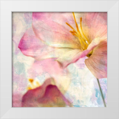 Pink Hyacinth V White Modern Wood Framed Art Print by Malek, Honey