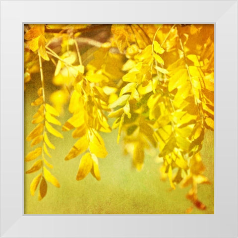 Autumn Photography I White Modern Wood Framed Art Print by Coomes, Sylvia