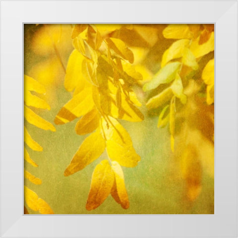 Autumn Photography II White Modern Wood Framed Art Print by Coomes, Sylvia