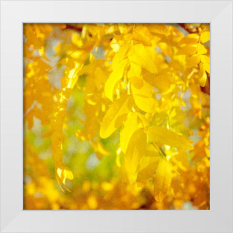 Autumn Photography IV White Modern Wood Framed Art Print by Coomes, Sylvia
