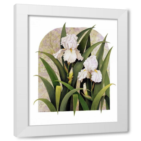 Iris Vignette White Modern Wood Framed Art Print by Matcham, Marcia