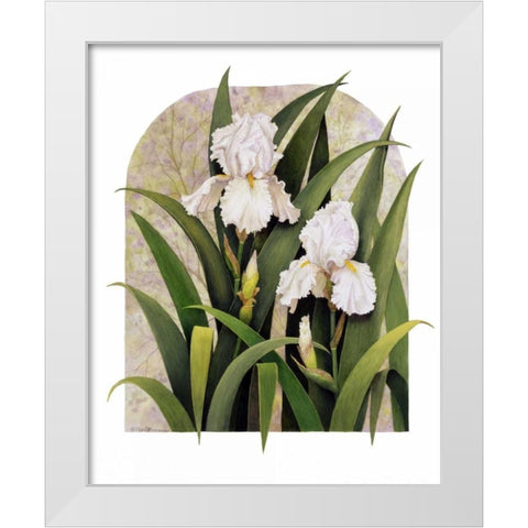 Iris Vignette White Modern Wood Framed Art Print by Matcham, Marcia