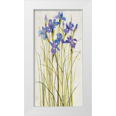Iris Patch I White Modern Wood Framed Art Print by OToole, Tim