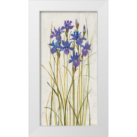 Iris Patch II White Modern Wood Framed Art Print by OToole, Tim