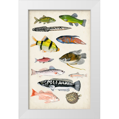 Antique Aquarium I White Modern Wood Framed Art Print by McCavitt, Naomi