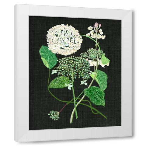 White Hydrangea Study I White Modern Wood Framed Art Print by Wang, Melissa