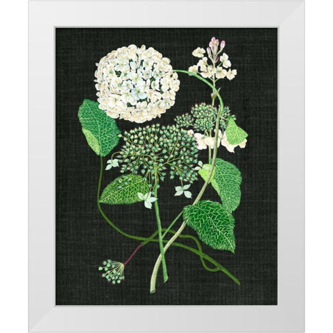 White Hydrangea Study I White Modern Wood Framed Art Print by Wang, Melissa