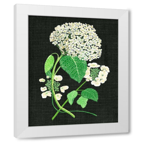 White Hydrangea Study II White Modern Wood Framed Art Print by Wang, Melissa