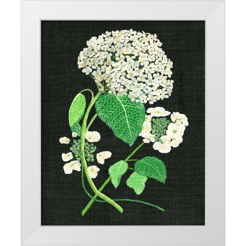 White Hydrangea Study II White Modern Wood Framed Art Print by Wang, Melissa