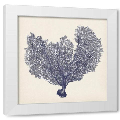 Indigo Seafan II B. White Modern Wood Framed Art Print by Vision Studio