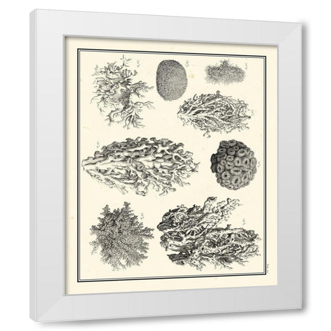 Small Aegean Collection IV White Modern Wood Framed Art Print by Vision Studio