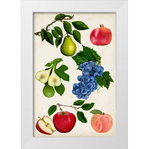 Fruit Collection I White Modern Wood Framed Art Print by McCavitt, Naomi
