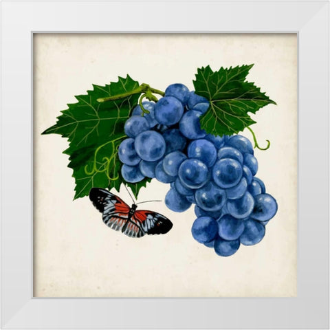 Fruit with Butterflies II White Modern Wood Framed Art Print by McCavitt, Naomi