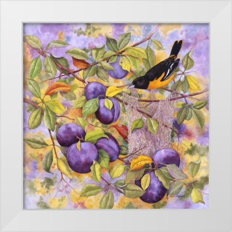 Oriole and Plums White Modern Wood Framed Art Print by Matcham, Marcia