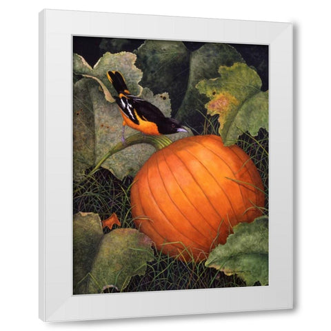 Oriole and Pumpkin White Modern Wood Framed Art Print by Matcham, Marcia