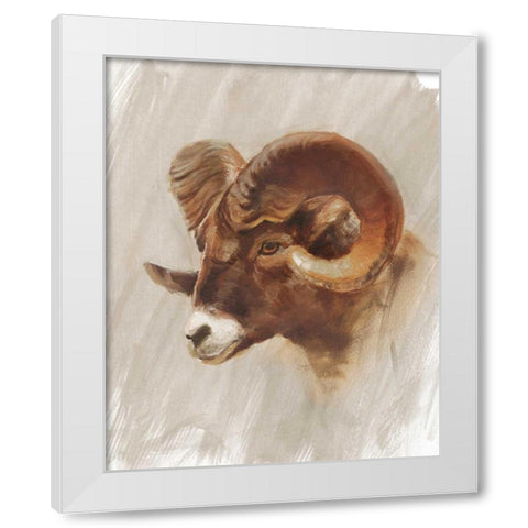 Western American Animal Study I White Modern Wood Framed Art Print by Harper, Ethan