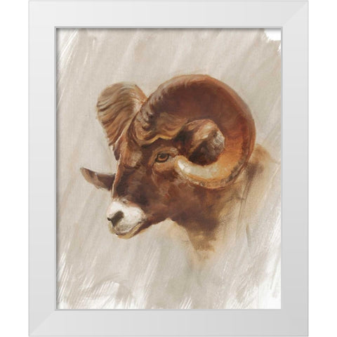 Western American Animal Study I White Modern Wood Framed Art Print by Harper, Ethan