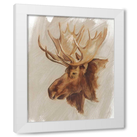 Western American Animal Study II White Modern Wood Framed Art Print by Harper, Ethan