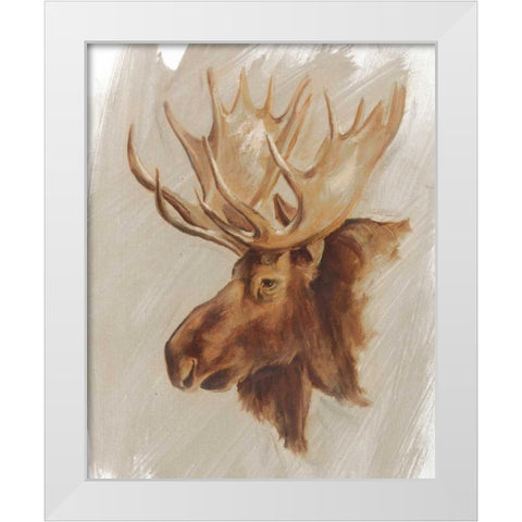 Western American Animal Study II White Modern Wood Framed Art Print by Harper, Ethan