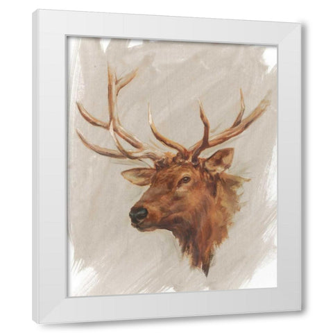 Western American Animal Study IV White Modern Wood Framed Art Print by Harper, Ethan