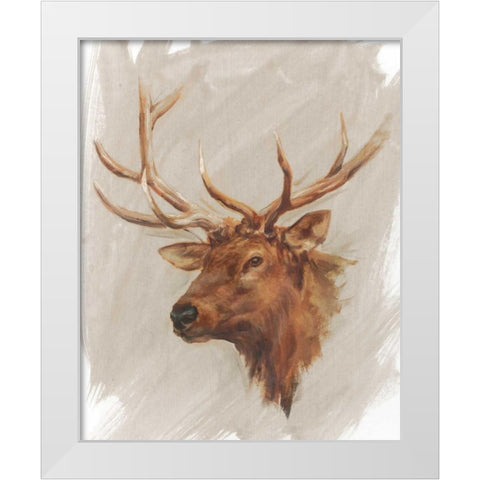 Western American Animal Study IV White Modern Wood Framed Art Print by Harper, Ethan
