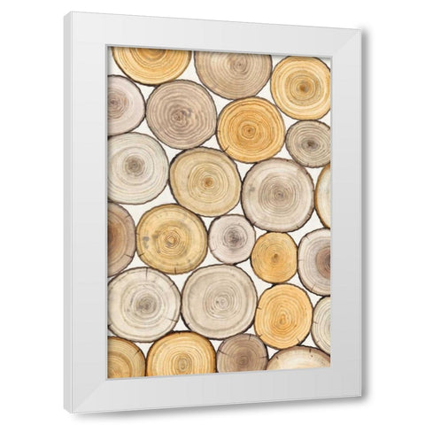 Tree Ring Study II White Modern Wood Framed Art Print by OToole, Tim