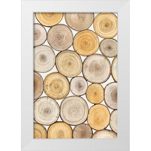 Tree Ring Study II White Modern Wood Framed Art Print by OToole, Tim