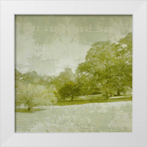 Beryl Landscape  I White Modern Wood Framed Art Print by Zarris, Chariklia