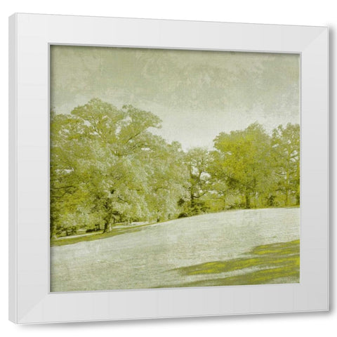 Beryl Landscape  II White Modern Wood Framed Art Print by Zarris, Chariklia