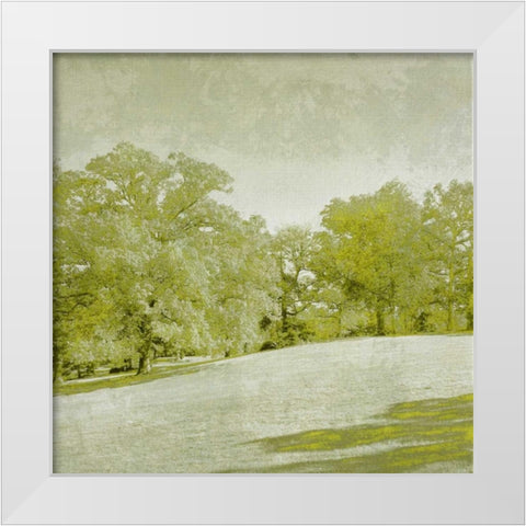 Beryl Landscape  II White Modern Wood Framed Art Print by Zarris, Chariklia