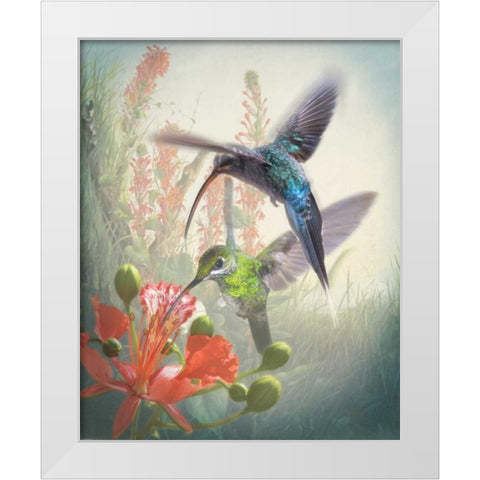 Hummingbird Cycle I White Modern Wood Framed Art Print by Quintero, Sonja
