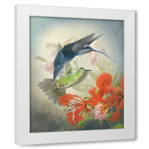 Hummingbird Cycle II White Modern Wood Framed Art Print by Quintero, Sonja