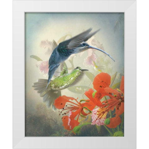 Hummingbird Cycle II White Modern Wood Framed Art Print by Quintero, Sonja