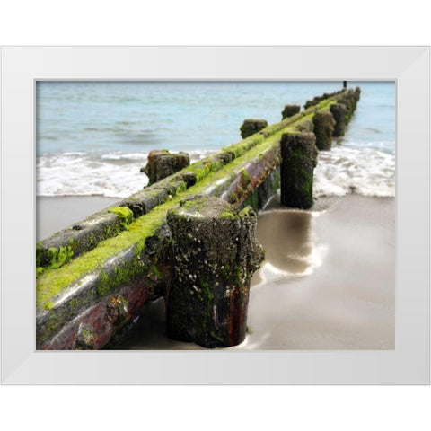 Scene Along the Water V White Modern Wood Framed Art Print by Miamee, Golie