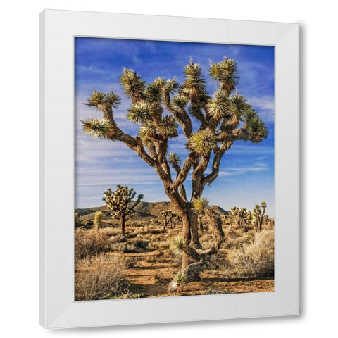 Views of Joshua Tree III White Modern Wood Framed Art Print by Perry, Rachel