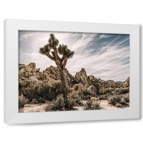 Views of Joshua Tree VIII White Modern Wood Framed Art Print by Perry, Rachel