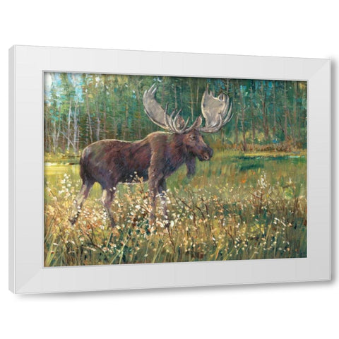 Moose in the Field White Modern Wood Framed Art Print by OToole, Tim