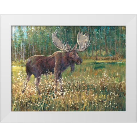 Moose in the Field White Modern Wood Framed Art Print by OToole, Tim