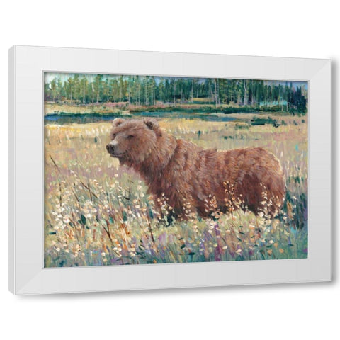 Bear in the Field White Modern Wood Framed Art Print by OToole, Tim