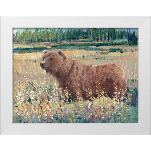 Bear in the Field White Modern Wood Framed Art Print by OToole, Tim
