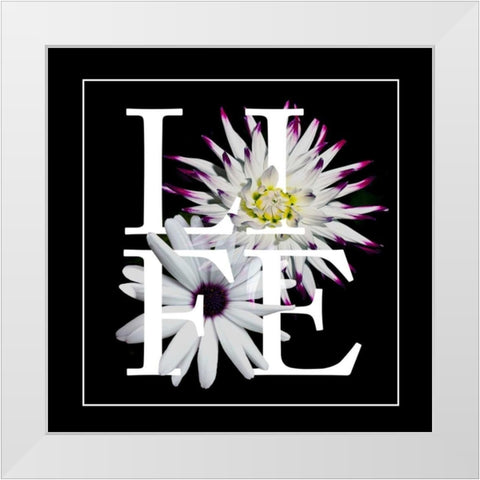 Floral Graphic II White Modern Wood Framed Art Print by Wang, Melissa