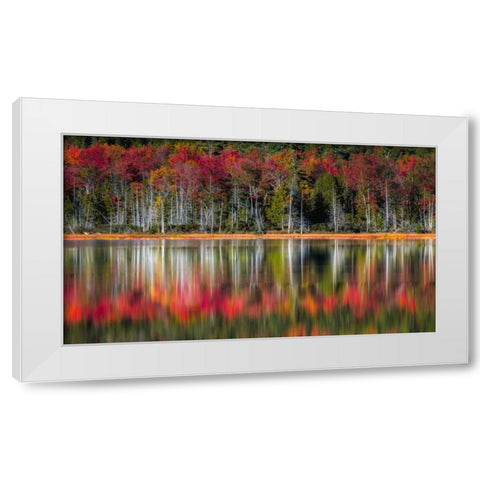 Autumn Reflections White Modern Wood Framed Art Print by Head, Danny